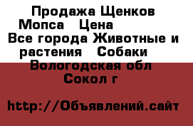 Продажа Щенков Мопса › Цена ­ 18 000 - Все города Животные и растения » Собаки   . Вологодская обл.,Сокол г.
